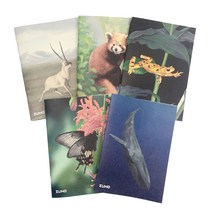 [10+1 GIFT] 쥬노 A5 유선노트 5종 친환경 재생지 감성 멸종위기동물, 장미나비