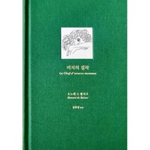 미지의 걸작, 오노레드발자크, 녹색광선