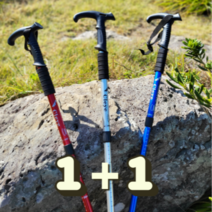 1+1 등산스틱 노르딕워킹 등산용 접이식 4단, 블루 1SET (2개)