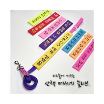 (초코송이네 커스텀)강아지 산책 메세지 슬리브, 16