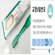 [S&G 공식판매점] 치아교정용 칫솔 (슬림모 일반모 1박스 / 12개입), 교정V일반모(강한모) 12개입 x 2개