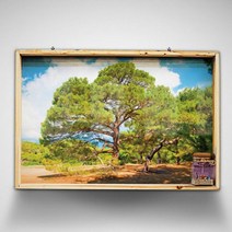 꾸밈데코_월데코벽걸이액자_사각우드액자액자부와명예의상징소나무2(tf858)_홈갤러리디자인액자홈데코소품, 이미지1