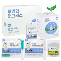 투명한 캣그라스 수경재배세트, 캣그라스 씨앗 20g