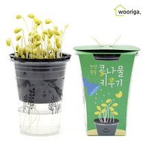 한컵쑥쑥 콩나물키우기 1개입 식물키우기, 한컵쑥쑥 콩나물 키우기 1개
