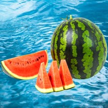 [당도선별] 프리미엄 고당도 하우스 제철 꿀 수박, 꿀수박6kg(선물용), 1개