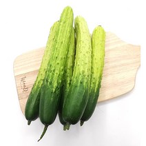 야채왕 오이 5개