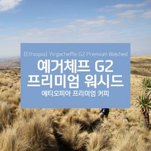 에티오피아 생두 예가체프 G2 프리미엄 워시드 Yirgacheffe Premium Washed, 1KG, 1kg, 1개