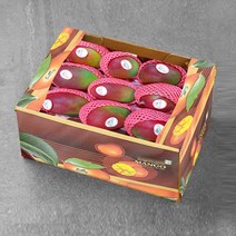 생 애플망고, 10개, 400g