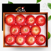 [웰굿] 경북 정성담은 명품 사과선물세트 3kg(10-11과), 상세 설명 참조
