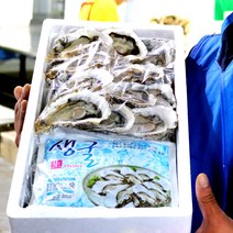 농수산대표 통영 하프쉘 반깐굴 30미(1.5kg) 50미(2.5kg) 100미(5kg), 30미