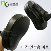 태권도용품 스파링미트 격투기 킥복싱미트
