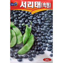 서리태씨앗 콩씨앗 30g 진흥종묘 검정콩은 항산화물질 이소프라본이 많이 함유되어 있으며 일반 콩들에비해 항산화작용이 높다고 알려져 있습니다