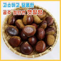 국산 공주 정안 알밤 2kg 특대, [칼집X]공주 정안 알밤(특대)4kg, 1개