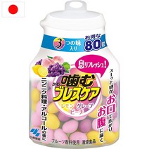 일본 고바야시 코바야시 브레스케어 3가지 맛 츄어블 80입