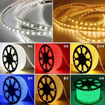 씨티라이팅 LED 논네온 플렉시블 5050 RGB 일반형 50M