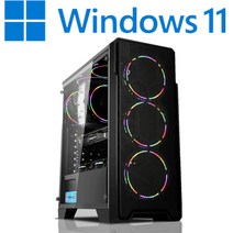 [왕가PC]WGCP 윈도우11 탑재 데스크탑 3D게임용 배그 풀옵션 게이밍 조립컴퓨터 롤 오버워치2 로스트아크 국민옵션부터 풀옵션 조립PC, 04. HDD 1TB 추가, 게이밍 01