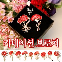 카네이션 브로치 모음전/어버이날/스승의날/카네이션