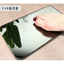 컴팩트 강아지 체중계 주방저울 미러 온도계 LED