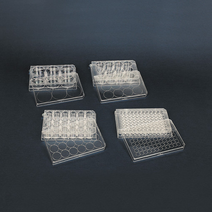 (JLS) 멸균 다용도홈판 낱개판매 6홀 12홀 24홀 96홀 (Cell Culture Plate) 세포배양판, 6홀 1개