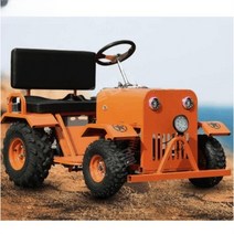 4인용 카트 다인승 버스 전기차 운반차 놀이동산 기차, free, 1인850W60V20A(주문후컬러선택)