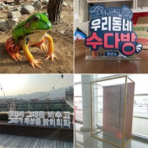 실외 설치 동물 캐릭터 FRP 행사 글자 입체 포토존 아크릴 고무 스티로폼 스카시 금속 프레임 포토존 조형물 제작 업체 헤파이스토스웍스, 요청 디자인 가능