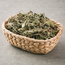 신토불이 국산 약초 차전초(질경이) 300g, 12XL_국산차전초(질경이)300g