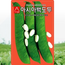 백도두콩 씨앗 작두콩 씨 종자 5립, 단품