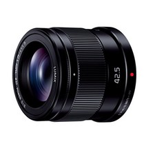 파나소닉 H-HS043-S 카메라 렌즈