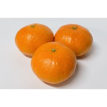 고당도 산지직송 제철 제주 레드향 명절세트 3kg 5kg 10kg, 선물용 박스포함 3kg(8~15수), 1개