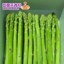 따봉프레시 백화점용 3차선별 황제 아스파라거스, 1개, 500g