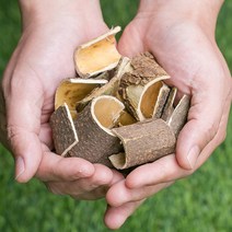 국산 소태나무껍질 200g 소태나무 소태껍질 소태, 1CCQ_국산 소태나무껍질 200g, 1CCQ_국산 소태나무껍질 200g