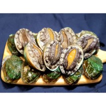 완도 활 전복 특대/꼬마 1kg 당일발송 대유수산, 특대전복 7-8미 1kg