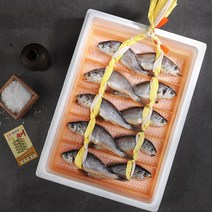 어가예찬 영광 법성포 굴비10미/20-21cm/900g내외/선물포장, 없음