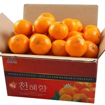 제주직송 천혜향 과일 선물세트, 5kg(특)대과, 1box