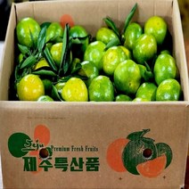 탐라인 제주 조생 유라조생 극조생감귤 꼬마과 귤한박스 3kg내외, 1box, 3kg