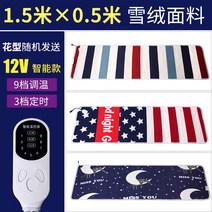 카라반 트럭 화물차 차박 캠핑 낚시 12V 24v 12볼트 24볼트 전기장판 DC 전기매트, 12볼트 150X50cm9단 타이머 스위치