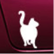 자동차 포인트 스티커 차량용 데칼 앞타이어옆 차꾸미기 운전석문 긁힌흠집가리기 적당한사이즈 찌그러진곳 티볼리 올뉴K7 미니컨트리맨 컬러감좋은, 오렌지, C타입
