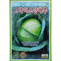 식물의집 그레이스양배추 씨앗 양배추 씨앗 씨