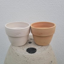실내공기정화식물 수입원형토분 dtr110 상단지름 10cm / 높이 8.5cm / 하단지름 7cm 황토색 / 흰색 2가지 선택가능