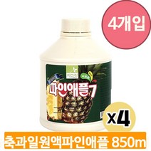 대용량 과일 농축액 850ml 4개 파인애플 음료 원액 베이스 카페 주스 업소