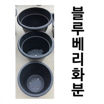 JCP 홈 데코 세라믹 퀼팅 핸드 화분, 블랙