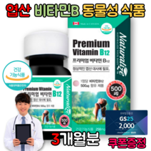 고농축 비타민B 엽산대사 B12 수험생영양제