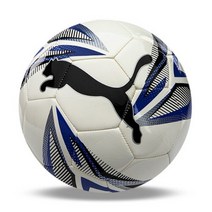 푸마 축구공 풋볼플레이 빅 캣 볼 경기구 보급형