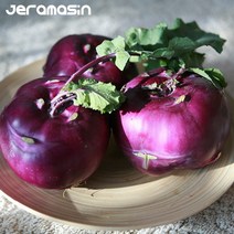 콜라비 제주 콜라비 웰빙채소 5kg 10kg 15kg 적콜라비 순무 산지직송, 콜라비 10kg