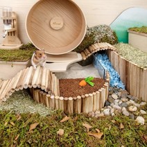 골든 햄스터 집 케이지 용품 은신처 사육장 베딩 펫똑 로얄 테일즈 토끼 고슴도치 도마뱀 애완동물 온도 키우기 산소방, 6x20cm