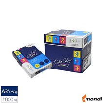 A3 컬러 레이저 프린터 복사지 305x457 250g 1000매, 상세페이지 참조, 상세페이지 참조