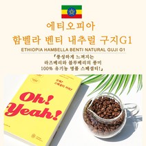 라이프빈 에티오피아 함벨라 벤티 내추럴 구지 G1, 200g, 프렌치프레스