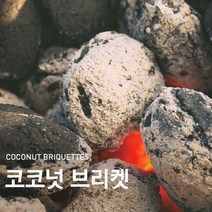 캠핑 코코넛 숯 구이용 화로대 바베큐 숯 연료 1Kg