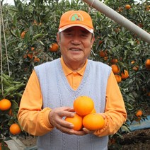 제주 진우네 천혜향 못난이천혜향 가정용 선물세트 3kg 5kg, 천혜향 5kg 가정용(소과), 1개