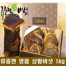 국산 상황 버섯 명품 상황버섯균사체 베타글루칸 뽕나무 목질진흙버섯 종류 상황버섯차 먹는방법 끓이는법 선물세트 효능 추천, 1kg, 1개
